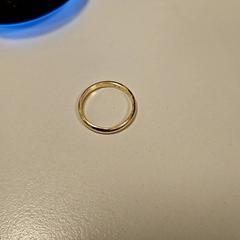 Ringa, rapporterat av Vrije Universiteit Amsterdam med iLost