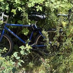 Mountain bike in redelijk goed toestand, som rapporterats till iLost