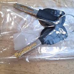 Kerékpár kulcsok fietssleutels, amint azt Gemeente Wageningen az iLost segítségével jelentette.