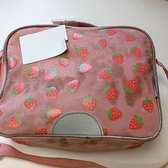 Väska, rapporterat av Regio Limburg - Leuven med iLost