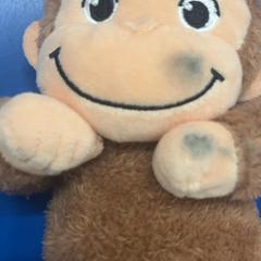 Mazlící hračka, jak nahlášeno IKEA福岡新宮 pomocí iLost