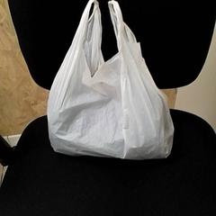 Bag, as reported by ilévia using iLost