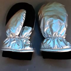 Rękawiczki, zgłoszono przez Diergaarde Blijdorp przy użyciu iLost