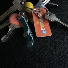 Sleutelbos, som rapporterats till iLost