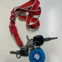 Klíčenka, jak nahlášeno Gemeente Lingewaard pomocí iLost