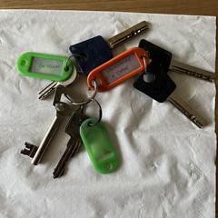 Sleutelbos, jak bylo nahlášeno na iLost