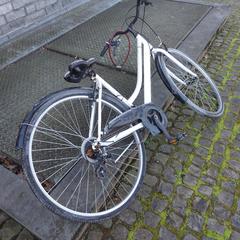 Women’s bike, rapporterat av Gemeente Zonhoven med iLost