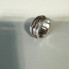 Dzwonić Zilver, zgłoszono przez Burgers' Zoo przy użyciu iLost