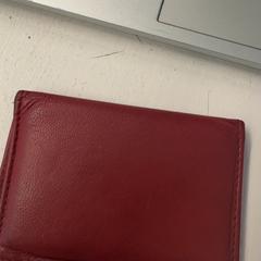 Cartera Ruis, segons ha informat GVB mitjançant iLost