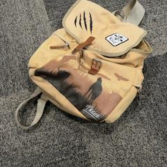 Backpack, as reported by Jaarbeurs using iLost