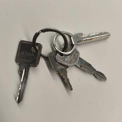 Keychain, as reported by Stad Hasselt using iLost