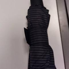 Umbrella Paars, as reported by Vrije Universiteit Amsterdam using iLost