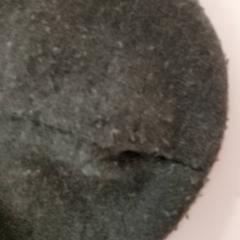 의류 Muts, iLost를 사용하여 Regio Antwerpen - Brussel에 보고됨