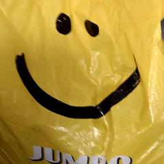 Taška jumbo, jak nahlášeno Arriva Friesland / Groningen pomocí iLost