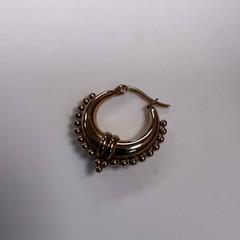 Fülbevaló, amint azt Diergaarde Blijdorp az iLost segítségével jelentette.