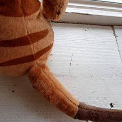 Knuffel, iLost를 사용하여 DierenPark Amersfoort에 보고됨