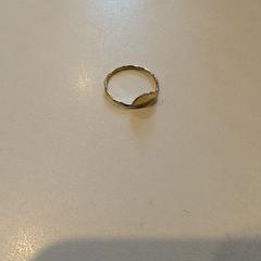 الخاتم، كما تم الإبلاغ عنه بواسطة Inntel Hotels Utrecht Centre عبر iLost