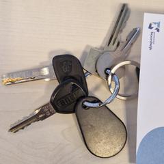 Sleutelbos, zgłoszono przez Gemeente Noordwijk przy użyciu iLost