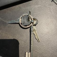 Sleutelbos, ha sido reportado por Pathé Arena con iLost