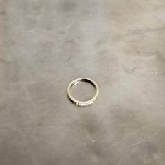 Ring, segons ha informat Pathé Scheveningen mitjançant iLost