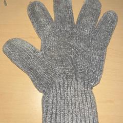 Handske, rapporterat av Jaarbeurs med iLost