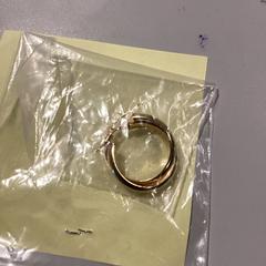 Oorbel Gold, zoals gemeld door MEININGER Hotel Paris Porte de Vincennes met iLost