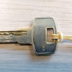 المفاتيح (متنوعة)، كما تم الإبلاغ عنه بواسطة Centraal magazijn عبر iLost