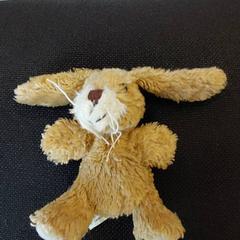 Peluix 10 cm, segons ha informat IKEA Rennes - Pacé mitjançant iLost