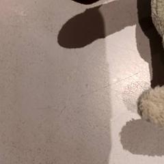 Peluche, ha sido reportado por De Efteling con iLost