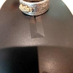 Prsten Zilverkleurig met goudkleurig detail, jak nahlášeno Padualaan 97 pomocí iLost