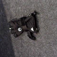 Glove, as reported by SnowWorld Landgraaf using iLost