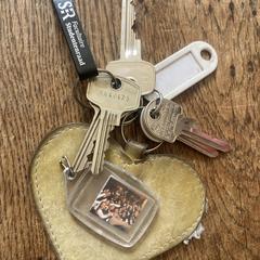 Sleutels / Keys, as reported to iLost