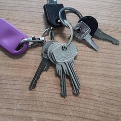 Key, as reported by Transdev Hoeksche Waard Goeree Overflakkee using iLost