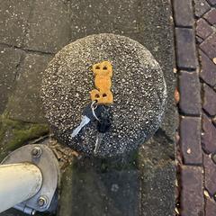 Sleutels met 'BOB' sleutelhanger, como reportado ao iLost