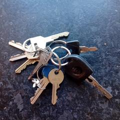 Sleutelbos, som rapporterats till iLost