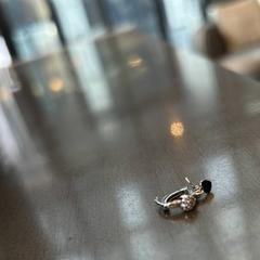 Joieria Zilver oorbel 1 stuk, segons ha informat WestCord Hotel Eindhoven mitjançant iLost