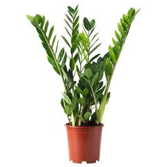Producte IKEA, segons ha informat IKEA Málaga mitjançant iLost