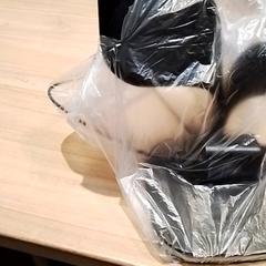 Oplader Draadloos, zoals gemeld door Beekse Bergen Resorts en Hotel met iLost