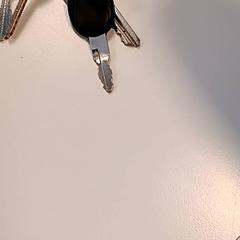 Llaves, ha sido reportado por U-OV Amersfoort con iLost