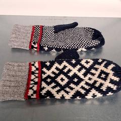 Handschoenen, zoals gemeld door Keolis Lund met iLost