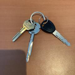 Kulcsok, amint azt Gemeente Amsterdam - Bureau Gevonden Voorwerpen az iLost segítségével jelentette.