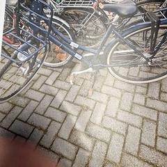 Bicicleta de senhora, como reportado por Gemeente Roermond utilizando o iLost