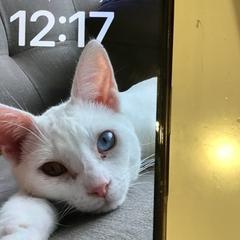 감시 장치, iLost를 사용하여 U-OV Utrecht에 보고됨