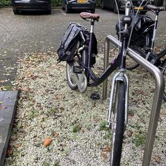 damesfiets, as reported to iLost