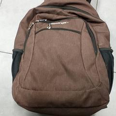 Ryggsekk Bruin, som rapportert av Regio Oost-Vlaanderen ved bruk av iLost