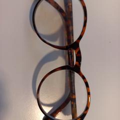 Leesbril, rapporterat av Arriva Limburg Noord med iLost