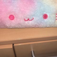 Étui, a été signalé par Jaarbeurs utilisant iLost