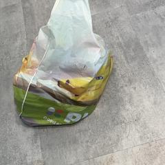 Bag, as reported by Arriva Achterhoek-Rivierenland using iLost
