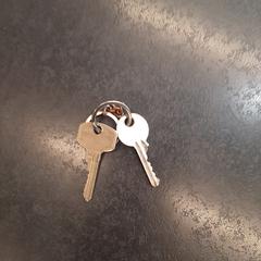 Sleutels, rapporterat av Rotterdam The Hague Airport med iLost