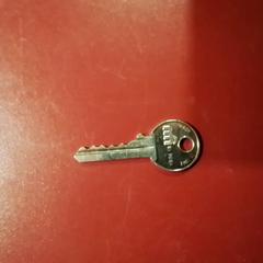 Clau, segons ha informat Apenheul mitjançant iLost